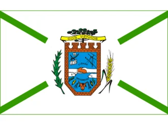 Bandeira de Dois Vizinhos