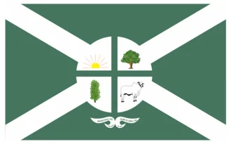 Bandeira de Dom Eliseu