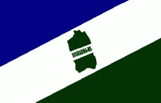 Bandeira de Douradina