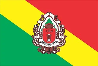 Bandeira de Embu das Artes