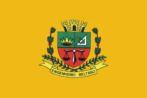 Bandeira de Engenheiro Beltrão