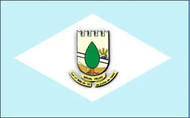 Bandeira de Erval Velho