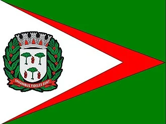 Bandeira de Espírito Santo do Pinhal