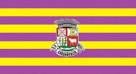 Bandeira de Eugenópolis