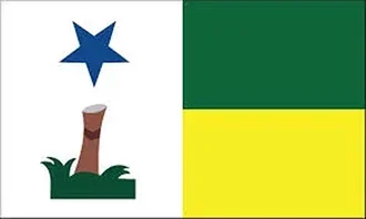 Bandeira de Feijó