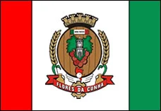 Bandeira de Flores da Cunha