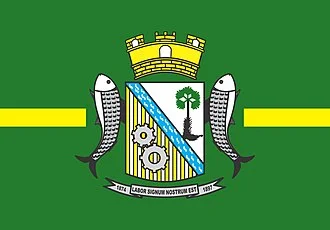 Bandeira de Floriano