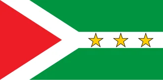 Bandeira de Forquilhinha