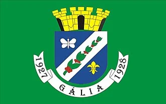 Bandeira de Gália