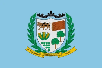 Bandeira de Goianésia do Pará
