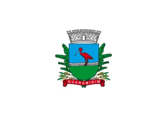 Bandeira de Guaramirim