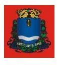 Bandeira de Guaxupé