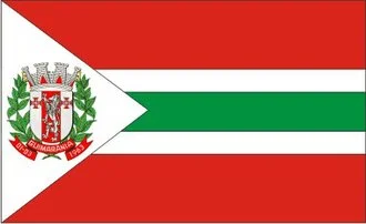 Bandeira de Guimarânia