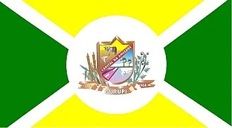 Bandeira de Gurupi