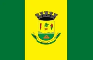 Bandeira de Ibiraiaras