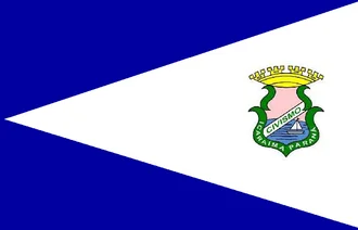 Bandeira de Icaraíma