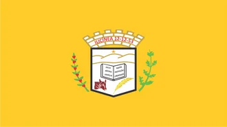 Bandeira de Ilicínea