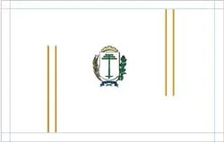 Bandeira de Irati