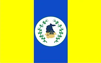 Bandeira de Itapipoca