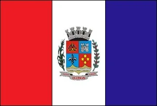 Bandeira de Iúna