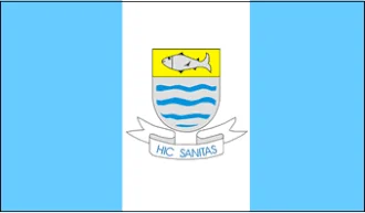 Bandeira de Lambari