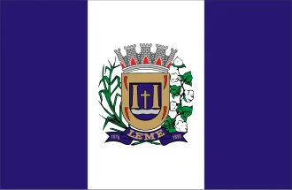 Bandeira de Leme