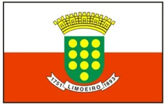Bandeira de Limoeiro