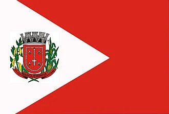 Bandeira de Mangueirinha