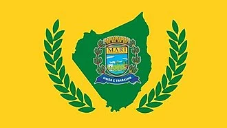 Bandeira de Mari