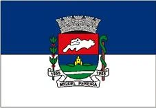 Bandeira de Miguel Pereira