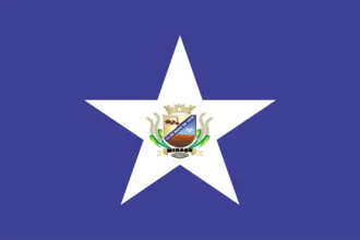 Bandeira de Minaçu