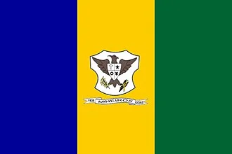 Bandeira de Mineiros