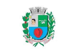 Bandeira de Mira Estrela