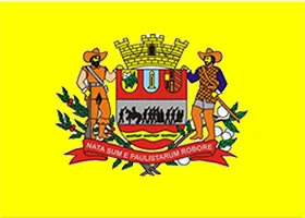 Bandeira de Mogi Mirim
