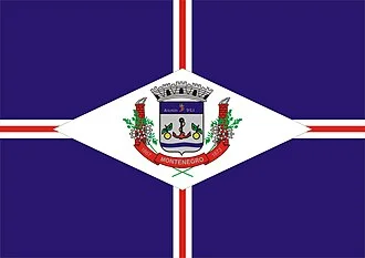 Bandeira de Montenegro