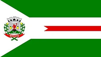 Bandeira de Morrinhos