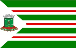 Bandeira de Nova Andradina