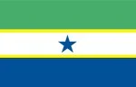 Bandeira de Nova Ipixuna