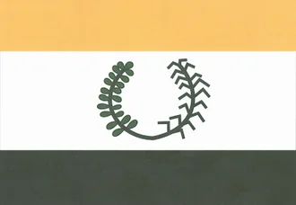 Bandeira de Nova Mamoré