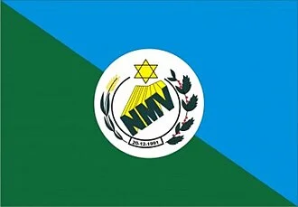 Bandeira de Nova Monte Verde