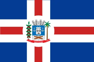 Bandeira de Nova Viçosa