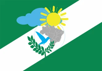 Bandeira de Novo São Joaquim