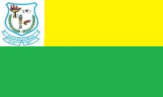 Bandeira de Paço do Lumiar