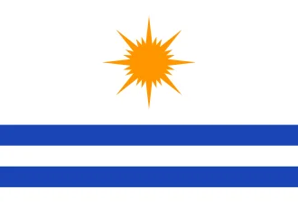 Bandeira de Palmas