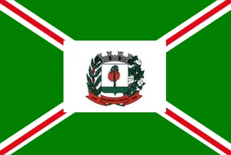 Bandeira de Palmeira d'Oeste