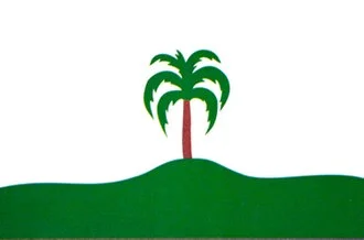 Bandeira de Palmeira das Missões