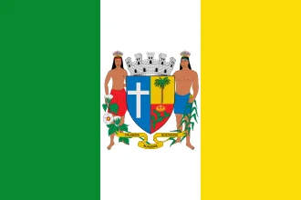 Bandeira de Palmeira dos Índios