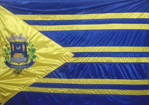 Bandeira de Panorama