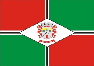 Bandeira de Papanduva