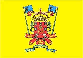 Bandeira de Paracatu